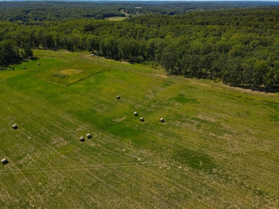 Cattle Farm For Sale in Benton County, MO - image 36