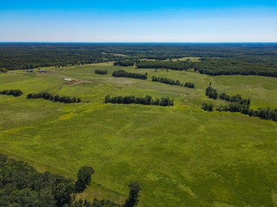 Cattle Farm For Sale in Benton County, MO - image 5