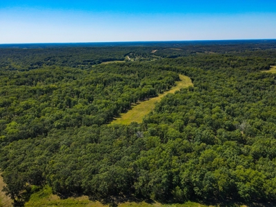 Cattle Farm For Sale in Benton County, MO - image 27