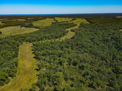 Cattle Farm For Sale in Benton County, MO - image 43