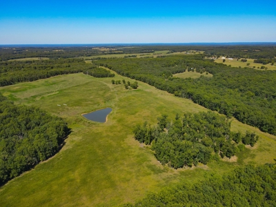 Cattle Farm For Sale in Benton County, MO - image 31