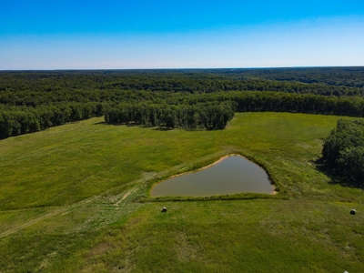 Cattle Farm For Sale in Benton County, MO - image 32