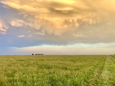 Wildorado Texas Land for Sale, Acreage in Deaf Smith County - image 2