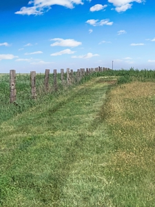 Wildorado Texas Land for Sale, Acreage in Deaf Smith County - image 5
