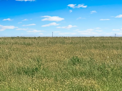Wildorado Texas Land for Sale, Acreage in Deaf Smith County - image 6