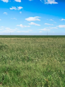 Wildorado Texas Land for Sale, Acreage in Deaf Smith County - image 4