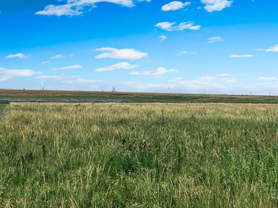 Wildorado Texas Land for Sale, Acreage in Deaf Smith County - image 10