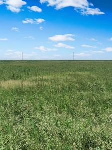 Wildorado Texas Land for Sale, Acreage in Deaf Smith County - image 9