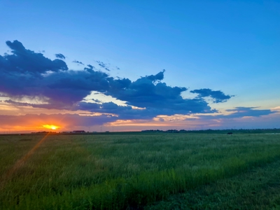 Wildorado Texas Land for Sale, Acreage in Deaf Smith County - image 1