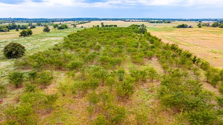 0000 W Interstate 30, Sulphur Springs, TX 75482 - image 26
