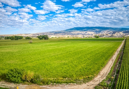 Farm For Sale in Colorado, Jennifer. Thomas and Deanna Mautz - image 11