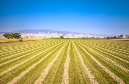 Farm For Sale in Colorado, Jennifer. Thomas and Deanna Mautz - image 29