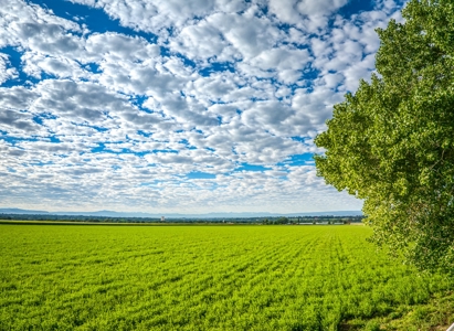 Farm For Sale in Colorado, Jennifer. Thomas and Deanna Mautz - image 2