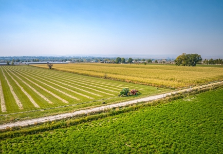 Farm For Sale in Colorado, Jennifer. Thomas and Deanna Mautz - image 30