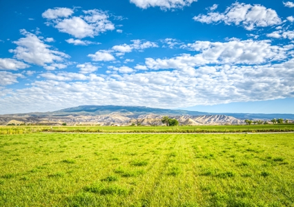 Farm For Sale in Colorado, Jennifer. Thomas and Deanna Mautz - image 14