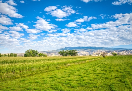 Farm For Sale in Colorado, Jennifer. Thomas and Deanna Mautz - image 12