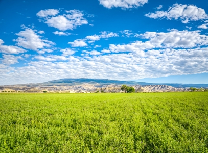 Farm For Sale in Colorado, Jennifer. Thomas and Deanna Mautz - image 15