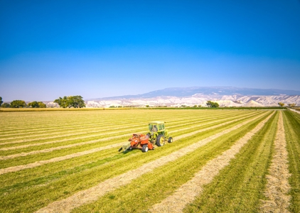 Farm For Sale in Colorado, Jennifer. Thomas and Deanna Mautz - image 32