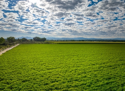 Farm For Sale in Colorado, Jennifer. Thomas and Deanna Mautz - image 1