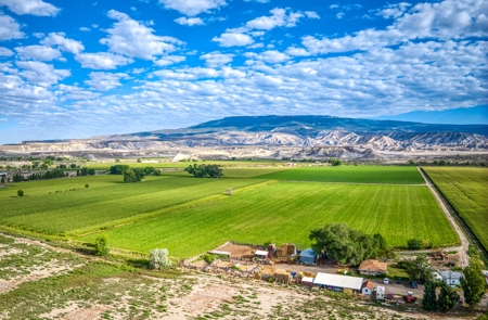 Farm For Sale in Colorado, Jennifer. Thomas and Deanna Mautz - image 10