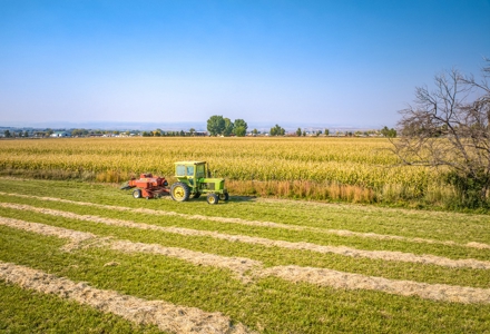 Farm For Sale in Colorado, Jennifer. Thomas and Deanna Mautz - image 31