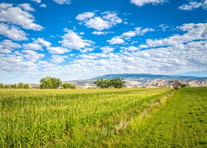 Farm For Sale in Colorado, Jennifer. Thomas and Deanna Mautz - image 13