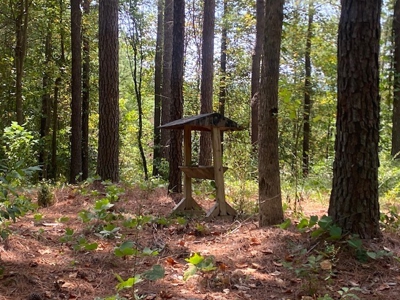 Recreational and Investment tract - image 4