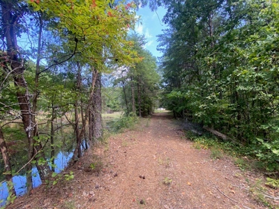 Recreational and Investment tract - image 9