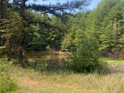 Recreational and Investment tract - image 7
