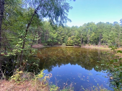 Recreational and Investment tract - image 8