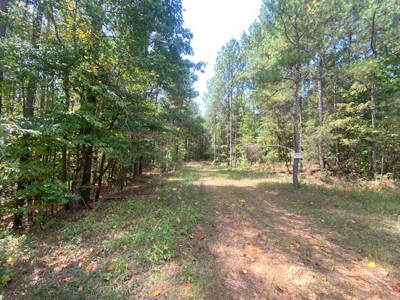 Recreational and Investment tract - image 1