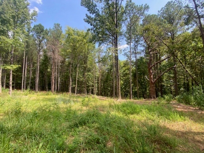 Recreational and Investment tract - image 2