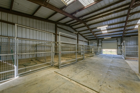 N California Equestrian Property with Country Home for Sale - image 5