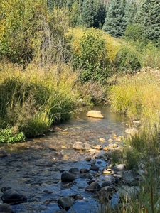 Northern New Mexico Big Game Hunting Ranch For Sale, Chama - image 6