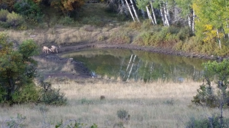 Northern New Mexico Big Game Hunting Ranch For Sale, Chama - image 29