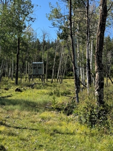 Northern New Mexico Big Game Hunting Ranch For Sale, Chama - image 8