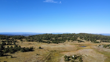 Northern New Mexico Big Game Hunting Ranch For Sale, Chama - image 20