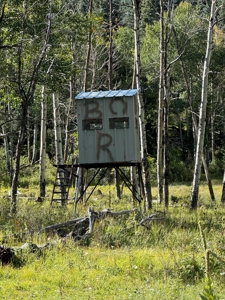 Northern New Mexico Big Game Hunting Ranch For Sale, Chama - image 11