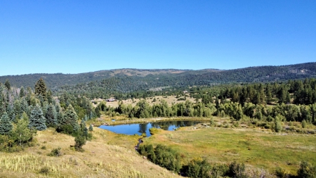 Northern New Mexico Big Game Hunting Ranch For Sale, Chama - image 12
