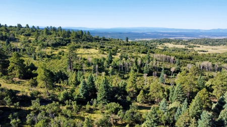 Northern New Mexico Big Game Hunting Ranch For Sale, Chama - image 18
