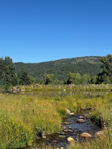 Northern New Mexico Big Game Hunting Ranch For Sale, Chama - image 7