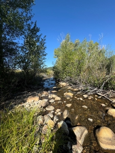 Northern New Mexico Big Game Hunting Ranch For Sale, Chama - image 9