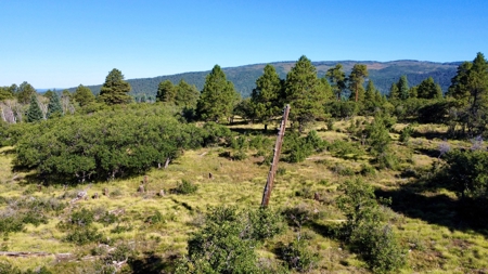 Northern New Mexico Big Game Hunting Ranch For Sale, Chama - image 24