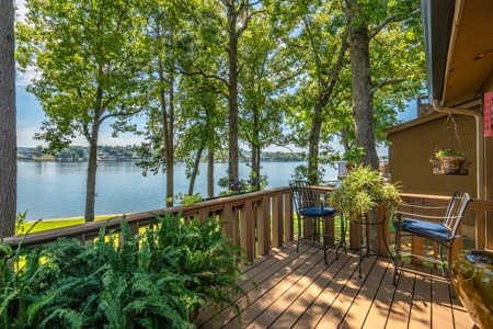Lake Front Condo in Hot Springs, AR - image 31