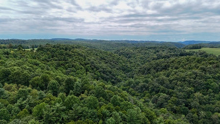 346 Acres Of Land Located In Patrick County, Va - image 4