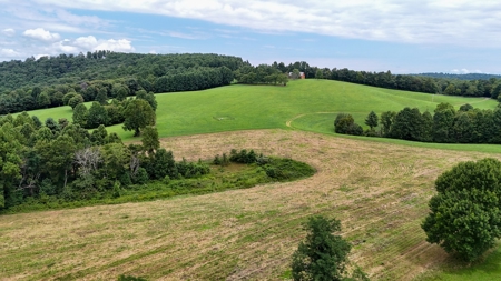346 Acres Of Land Located In Patrick County, Va - image 9