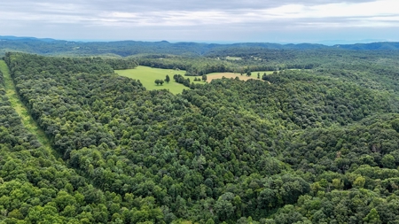 346 Acres Of Land Located In Patrick County, Va - image 14
