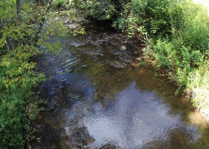 346 Acres Of Land Located In Patrick County, Va - image 40