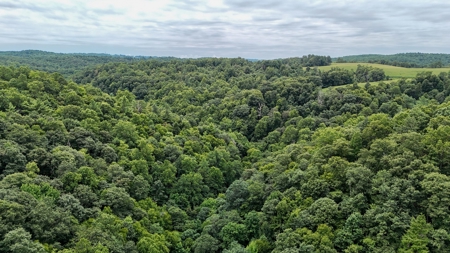 346 Acres Of Land Located In Patrick County, Va - image 5