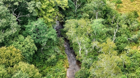 346 Acres Of Land Located In Patrick County, Va - image 15